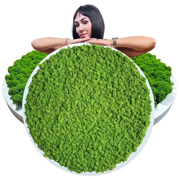 Obraz v dřevěném kulatém bílém rámu S Mechem Chrobotkem, průměr 90 cm