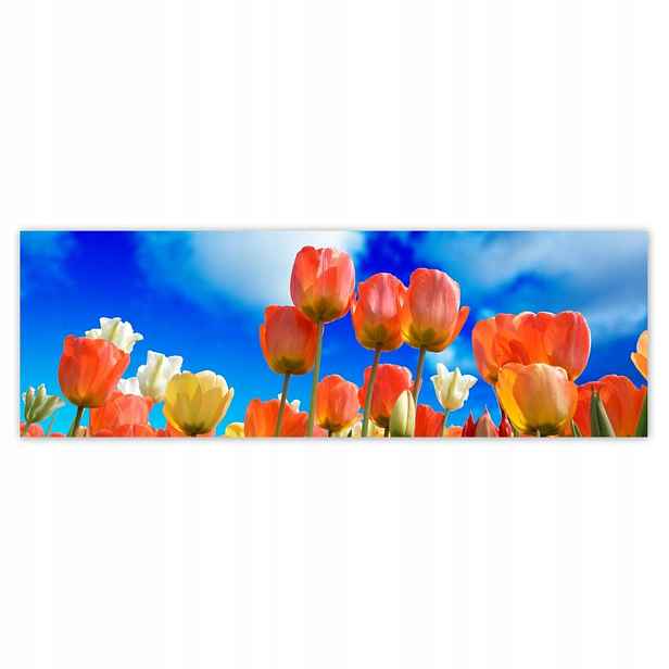Plakáty 200x66 Barevné tulipány