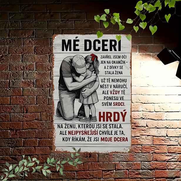 TEMU 2D plochý kovový obraz na zeď s českého otce a dcery, rozměry 20x30 cm. Obsahuje dojemný citát a slouží vintage dekorace do různých , je obývací