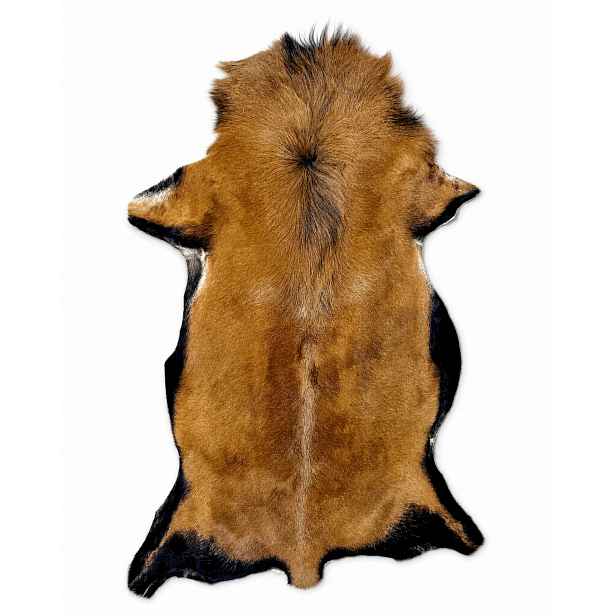 Ovčí kůže „kameruňská“ Hřívovitý lev – 100 cm (matka) 100% přírodní!*UNIKÁT