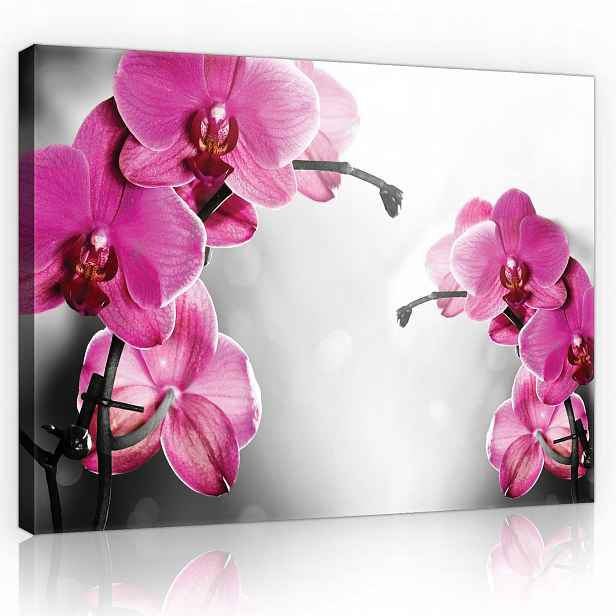 Obraz Květiny Orchideje Na Plátně Moderní Ložnice Obývací Pokoj 100x70