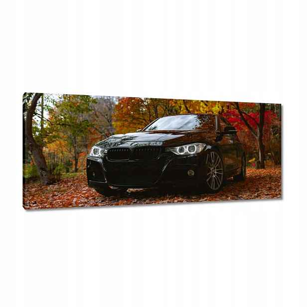 Obrazy 100x40 Černé Bmw Podzim