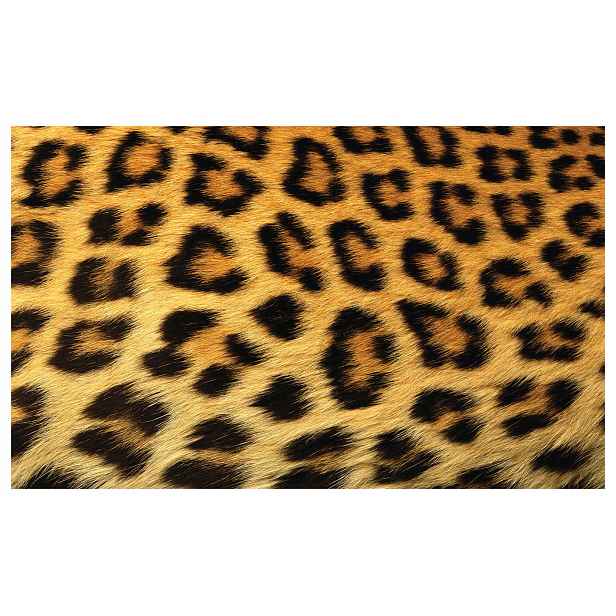 Fototapeta Leopardi vzor zvířecí srst odstíny hnědé 250x175 lepidlo