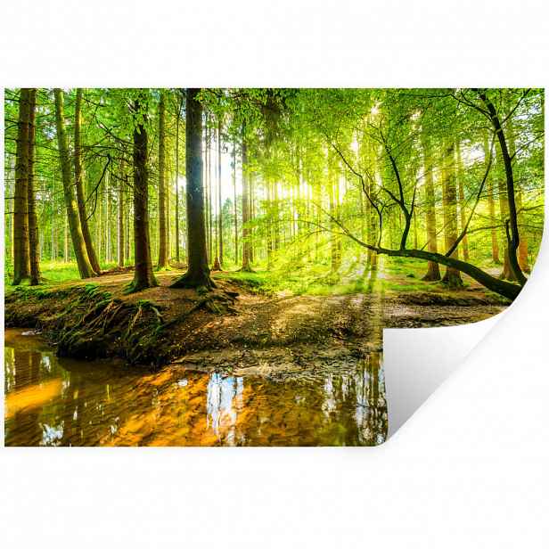 MuchoWow SAMOLEPKA NA ZEĎ Les - Krajina - Voda - Stromy - Slunce - Zeleň - Příroda 60x40 cm