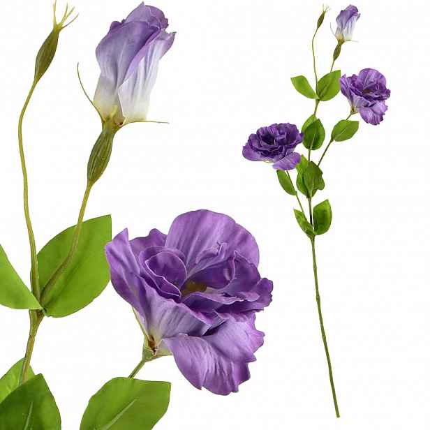Mondex UMĚLÁ KVĚTINA, Eustoma