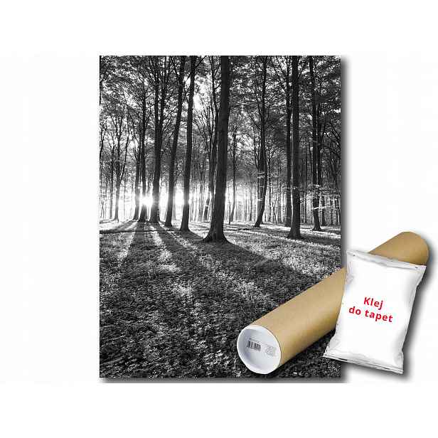 Fototapeta Les Šedý 19A Panxl 206x275 F2229