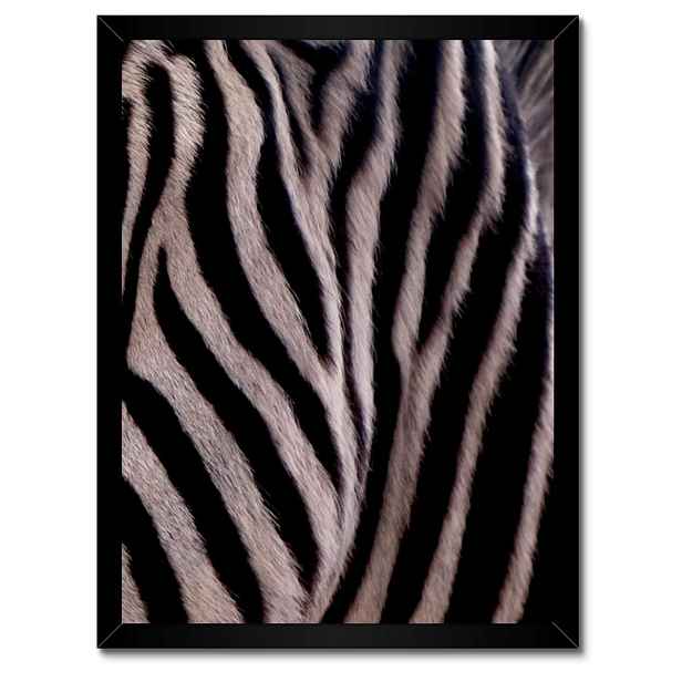 Plakáty v rámu 30x40 Makro fotografie zebra
