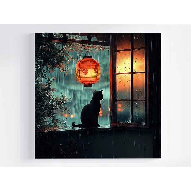 Obraz Na Plátně Canvas Večer Noc Déšť Liják Lampion Černá Kočka 50x50