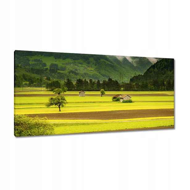 Obrazy 115x55 Zelené lány
