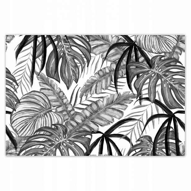 Plakáty 185x125 Monstera Zelený list