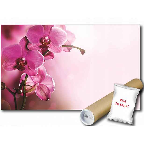 Fototapeta Růžový Orchidej 9D V4 254x184 F1033