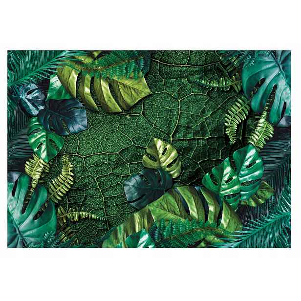 Fototapeta Džungle Listy Monstera Rostliny 520x318