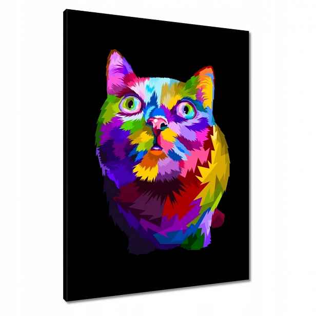 Obrazy 60x80 Abstraktní kočka