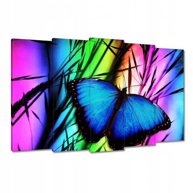 Obrazy 150x95 Modrý motýlek