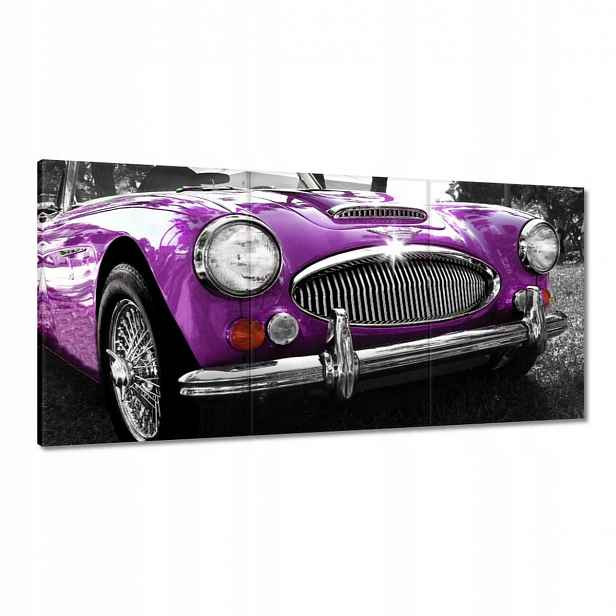 Obrazy 120x60 Austin Healey 3000
