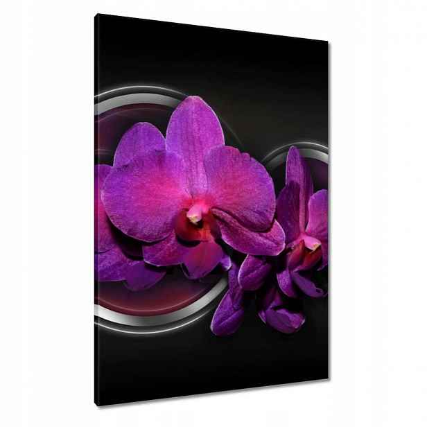 Obrazy 70x100 Fialová orchidej