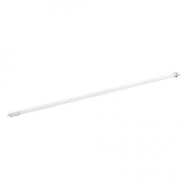 LED Žárovka Eglo G13 110333
