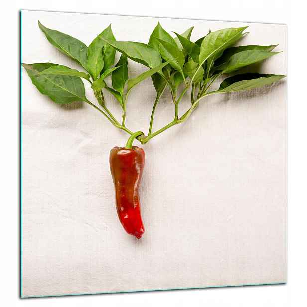 Skleněná Ochranná Deska Panel Lepidlo 60x65 Paprika
