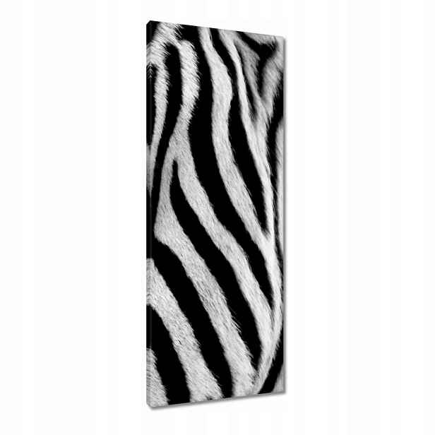 Obrazy 40x100 Černobílé pruhy Zebra