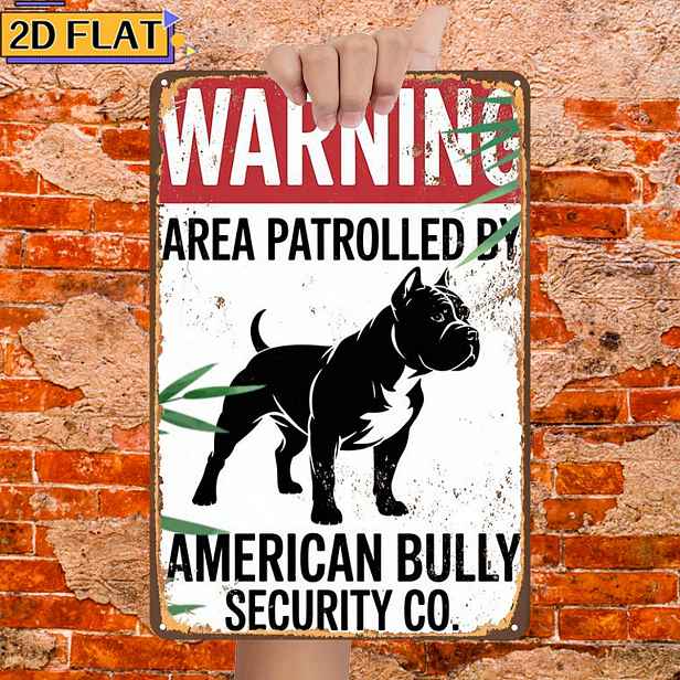 TEMU 2D plochá 1ks, Upozornění: ZÓNA DOHLEDU AMERICKÝ BULLY SECURITY Co., Kovová železná cedule, Velikost (8"X12"/20Cm*30Cm) Dekorativní