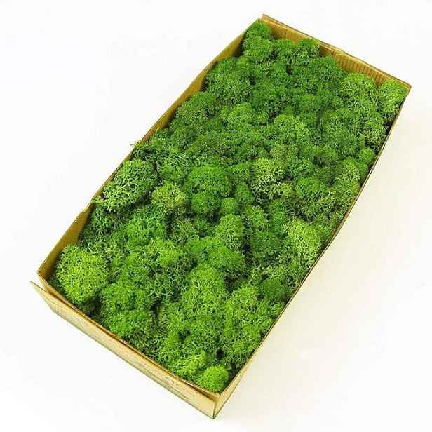 Umělý Mech Chrobotek Nástěnná Dekorace Do Zahrady 385 G Nevyžaduje Vodu
