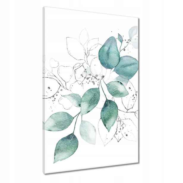 Obrazy 60x90 Eucalyptus stříbrný