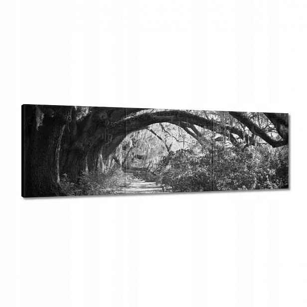 Obrazy 120x40 Duby v parku