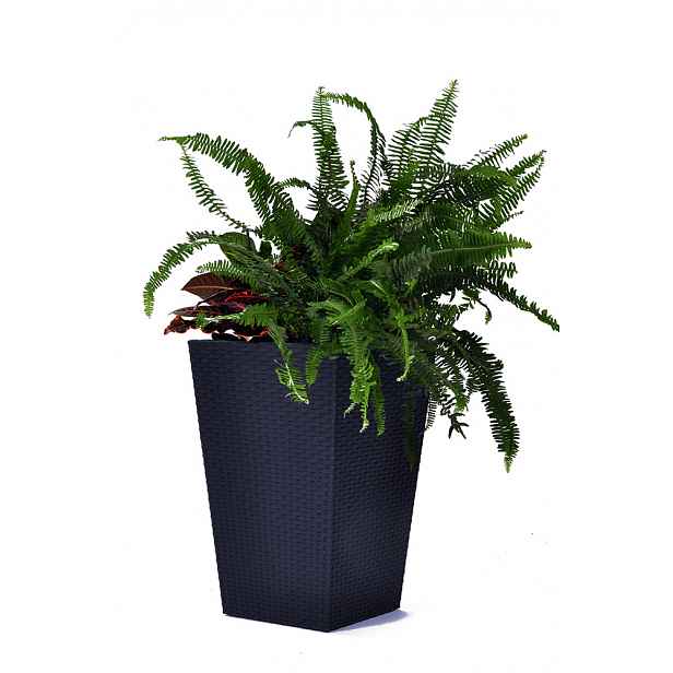 Květináč RATTAN PLANTER antracit Keter 39x39x57 cm