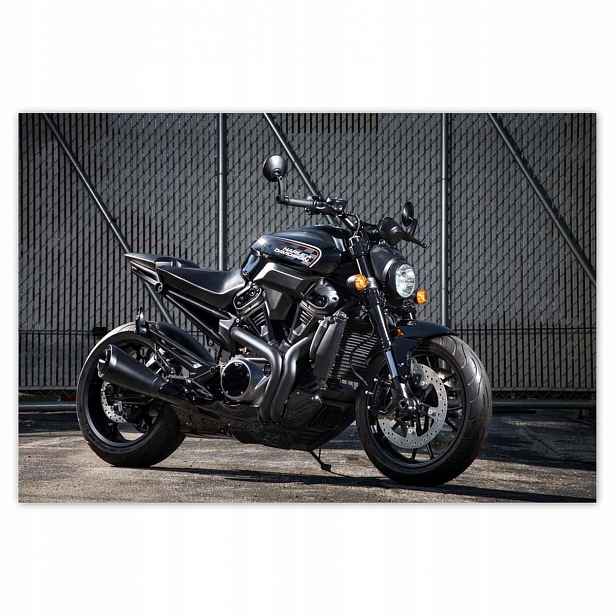 Plakáty 200x135 Harley Davidson Motocykl