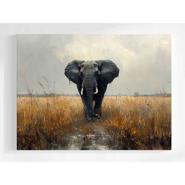 Plakát Příroda Zvíře Afrika Slon Savana 100x75