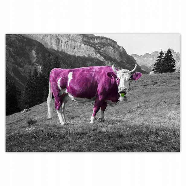 Plakáty 185x125 Fialová kráva Emilka