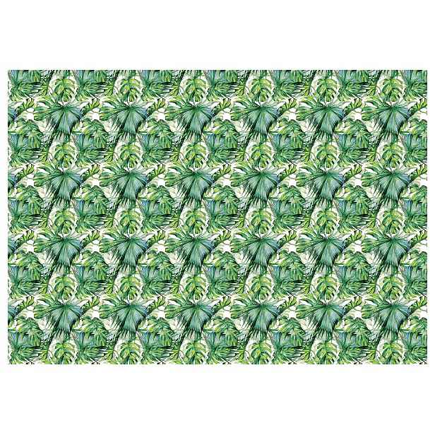 Vliesová fototapeta Bílé listy Tropické palmy Monstera 208x146 lepidlo