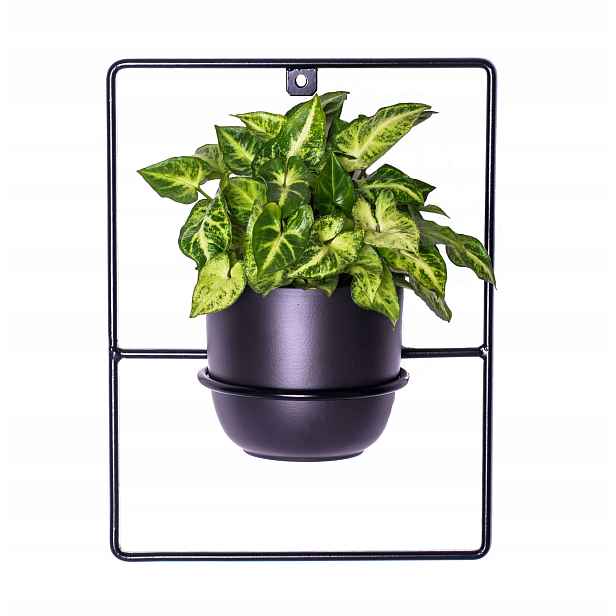 Držák Na Květináč Pilea nástěnný závěsný kovový černý
