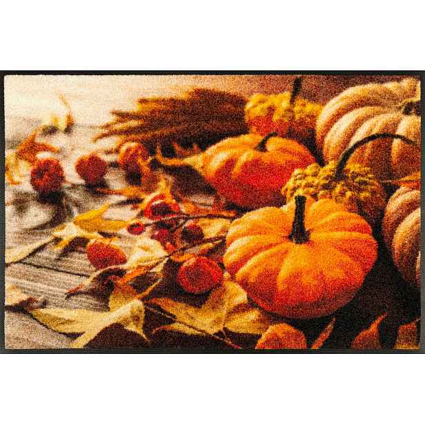 Vstupní rohožka na praní |Wash+Dry|Pumpkin Glow Dýně 50x75 cm