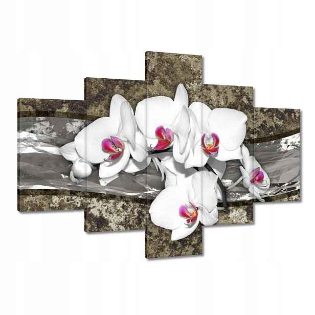 Obrazy 100x70 Bílá Orchidej Mramorové pozadí