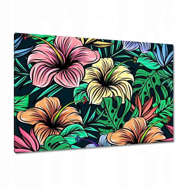 Obrazy 120x80 Monstera Zelený list