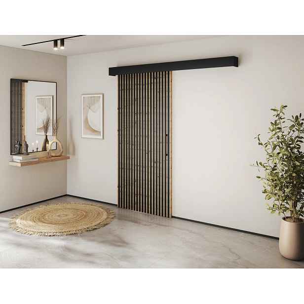 Designové posuvné dveře SEREN 2 - černé / hnědé