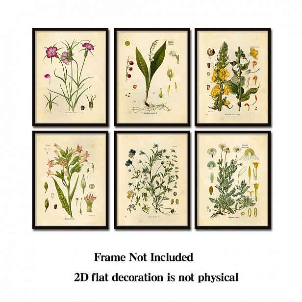 TEMU 2D plochý, 2D plochý, 2D plochý nástěnný dekorativní plakát bez rámu 6 ks Vintage Botanické divoké květiny Nástěnné umění Boho Domácí dekorace
