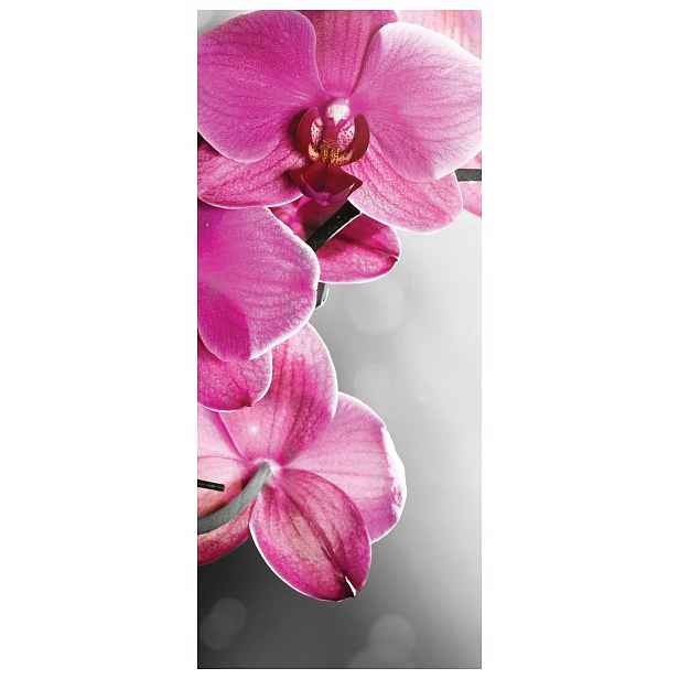 Samolepka Fototapeta Růžové orchideje Jemnost a Grace 91x211