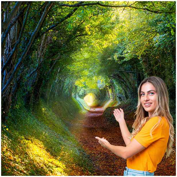 Fototapeta 3D Obývací Pokoj Ložnice Les Stromy Slunce 490x280 P08F