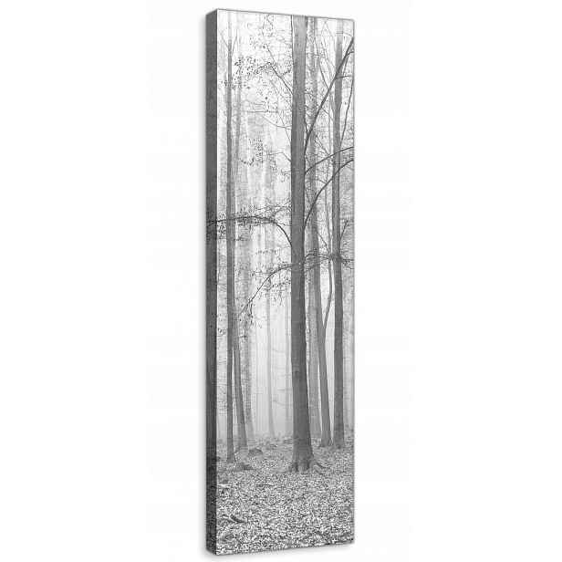 Obraz Na Plátně Plátno 45x145 Podzimní Les Šedá
