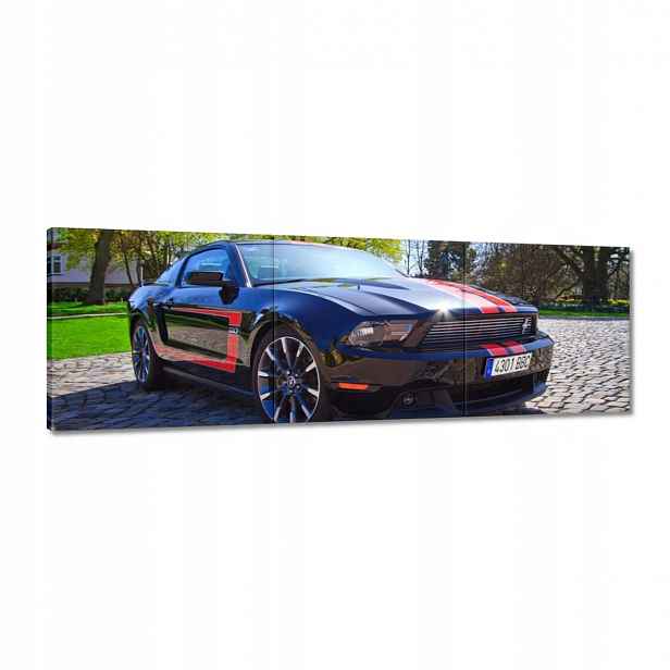 Obrazy 120x40 Ford Mustang s pruhy