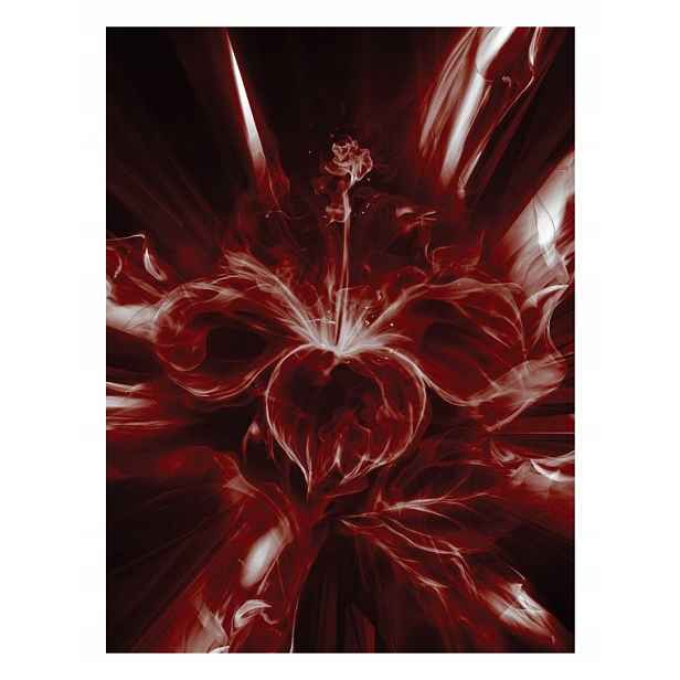 Fototapeta Abstrakce červené a bílé vinylové 184x254 lepidlo