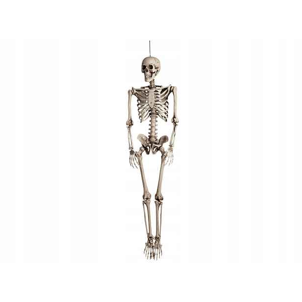 Závěsná kostra na Halloween, dekorace 160 cm, Boland 1 ks
