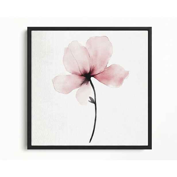 Obraz Rám Americký Box Akvarel Příroda Zahrada Květ Růžová Magnolie 60x60