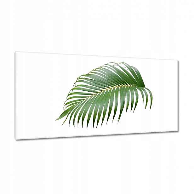 Obrazy 115x55 Zelený list Minimalismus