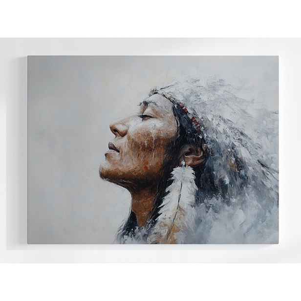 Obraz Na Plátně Canvas Indián Šaman Portrét Etno Umění Usa 80x60