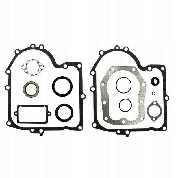 Sada těsnění motoru Briggs Stratton 494241