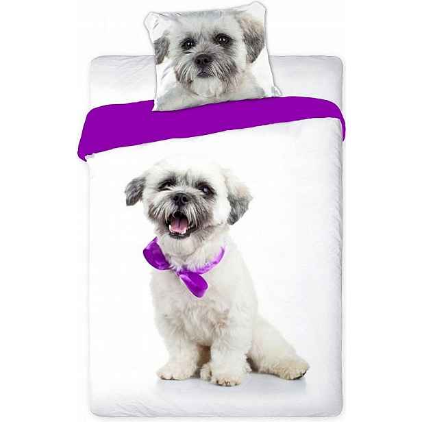 Povlečení Pes Sladký Bílý Pejsek Shih Tzu Lasa Apso Biszon 160x200