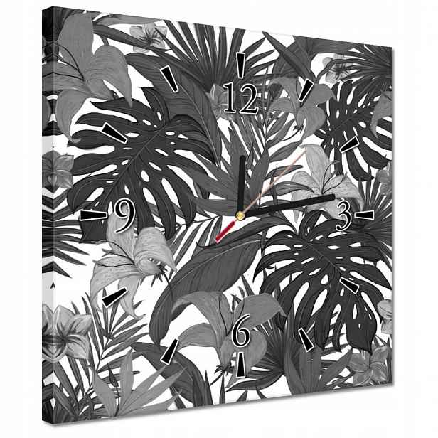 Hodiny 30x30 Černobílá monstera
